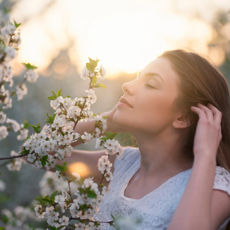 Bemutatkoznak illataink